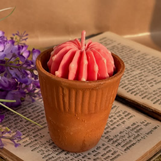 cactus combo (set of 4)