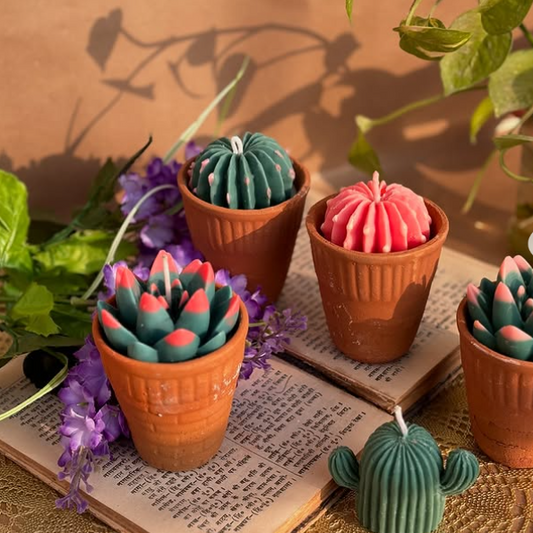 cactus combo (set of 4)